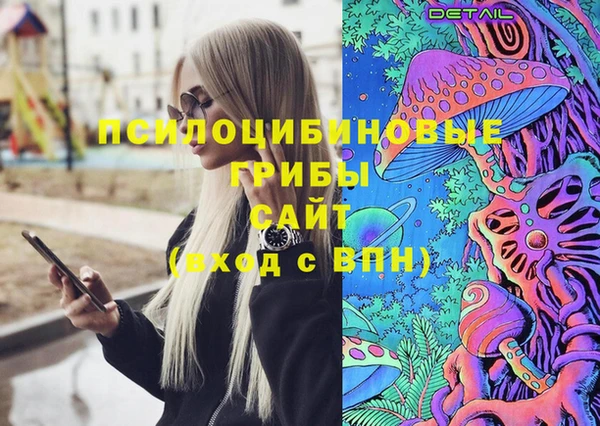 трава Аркадак