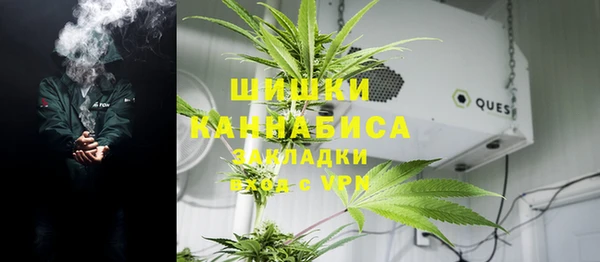стаф Мегион
