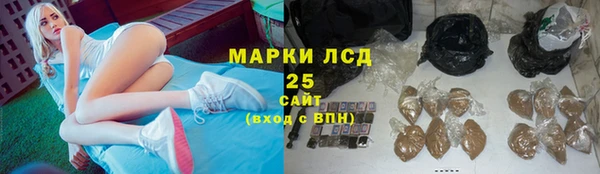трава Аркадак