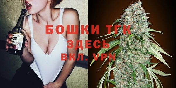 трава Аркадак
