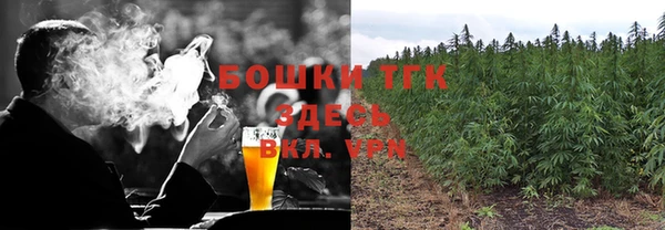 трава Аркадак