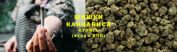 ПСИЛОЦИБИНОВЫЕ ГРИБЫ Медногорск