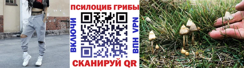 Псилоцибиновые грибы мицелий  Старый Крым 